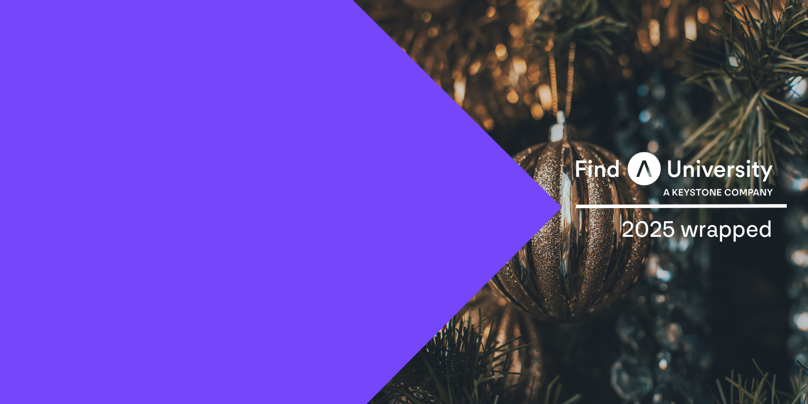 2025 Wrapped: Growth, Innovation and Collaboration at FindAUniversity