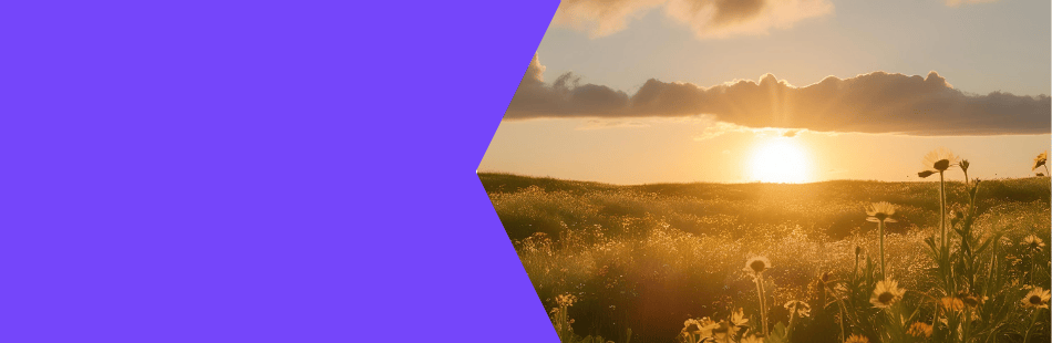 Pulse: How do international audiences feel about the UK (and elsewhere) now?